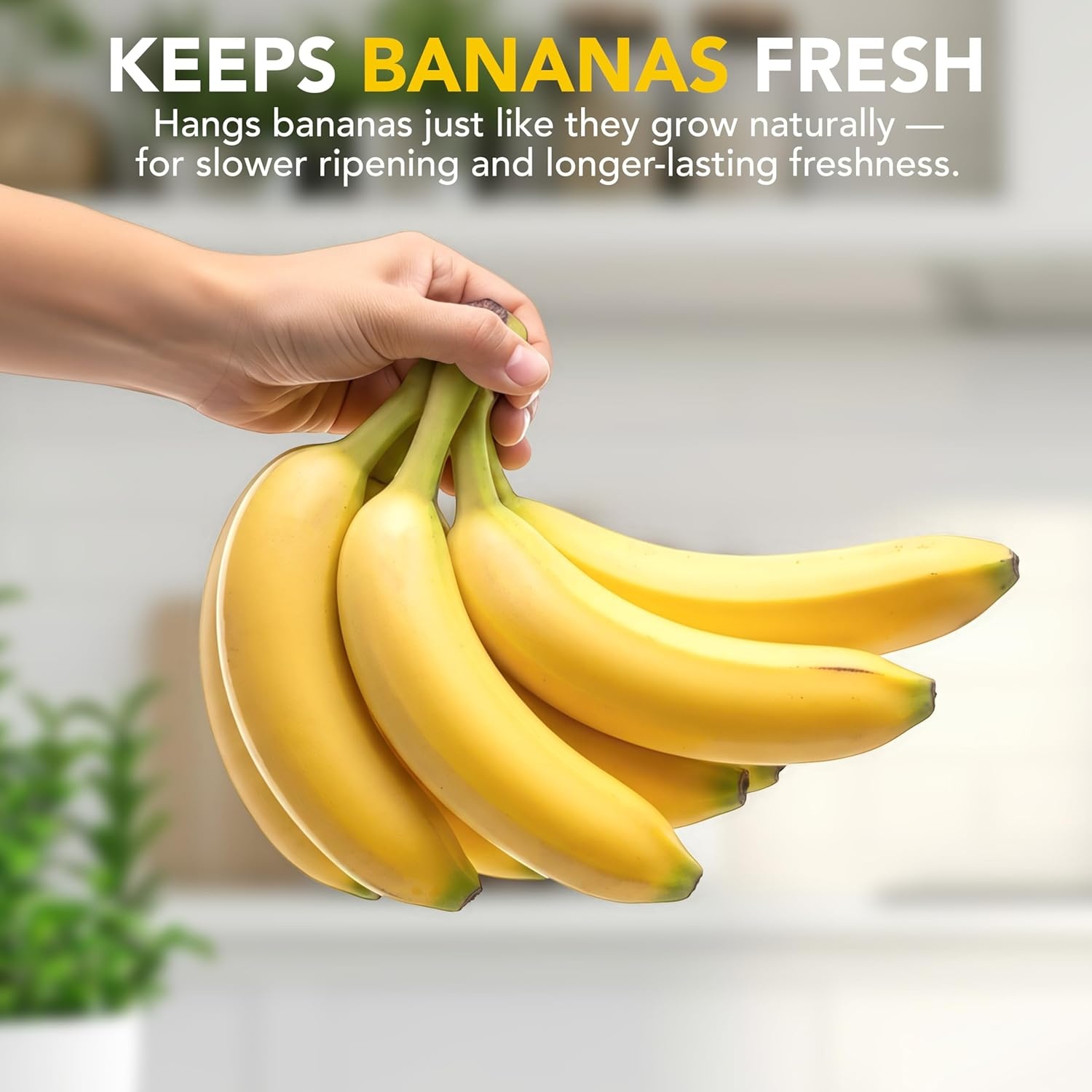image:imageJoie Monkey Banana Tree Holder Countertop Fruit Hanger with Secure Hook Bananas Ripen Evenly and Last Longer Cute Kitchen GadgetMonkey Banana Tree