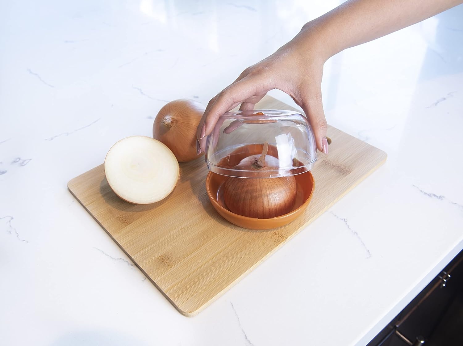 image:imageMSC International Joie Fresh Flip Saver Food Storage Pod for Onion Keep Fruits amp Vegetables Fresher Longer