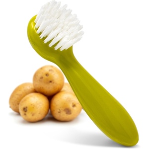 image:imageJoie Potato Scrub Brush Ergonomic Easy Grip Handle Ideal for Cleaning Vegetables and Fruits Small and Compact Handy Kitchen Gadget BPAFree Dishwasher Safe GreenPotato Brush